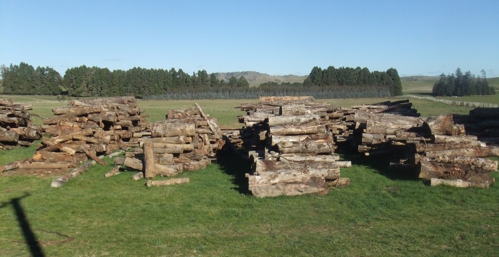 logs in paddock